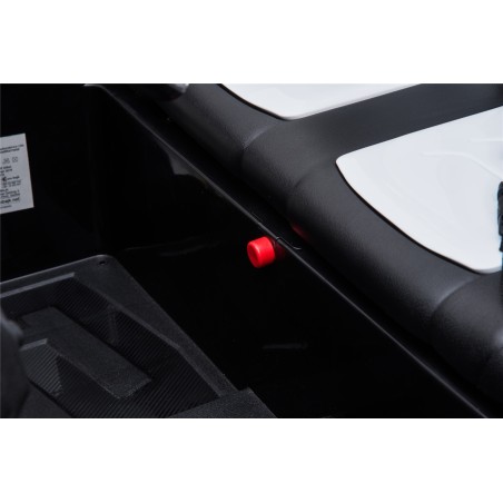 Auto Macchina Elettrica New Polar 24V per Bambini 2 Posti Full Optional Sedile Regolabile E telecomando (Rossa)|Toys Car