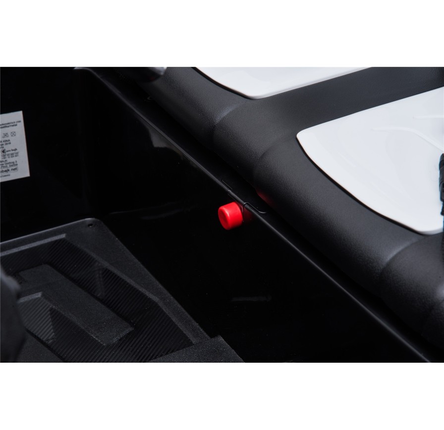 New Polar 24V Auto Elettrica 2 Posti Bambini | Toyscar