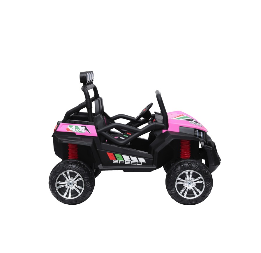New Polar 24V Auto Elettrica 2 Posti Bambini | Toyscar